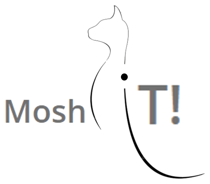 Moshit